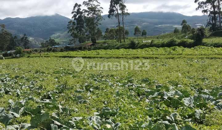 Jual Tanah Padat Cocok Villa Pertanian View Gunung Malabar Pangalengan