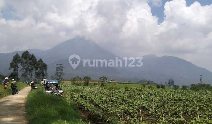 Dijual Tanah Padat Buat Pertanian,Villa View Gunung Tilu Pangalengan Bandung