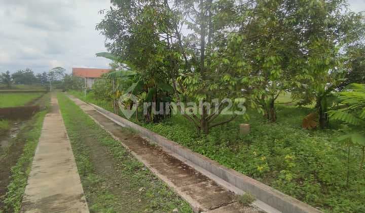 Dijual Tanah KAvling Siap Bangun Kalimanah Purbalingga