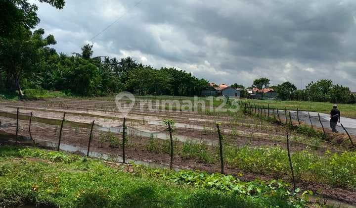 Dijual Tanah di Teluk Naga, Dekat Bandara Soekarno-Hatta