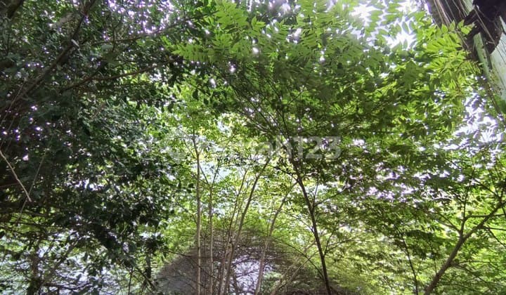 Dijual Lahan Jln.rajawali Selatan,gunung Sahari Utara,sawah Besar Jakarta Pusat