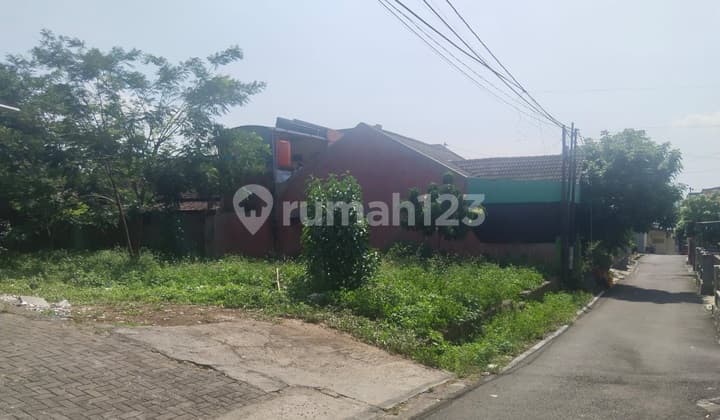 Tanah Murah Di Bawah Njop Durian Dekat Kampus Undip Tembalang
