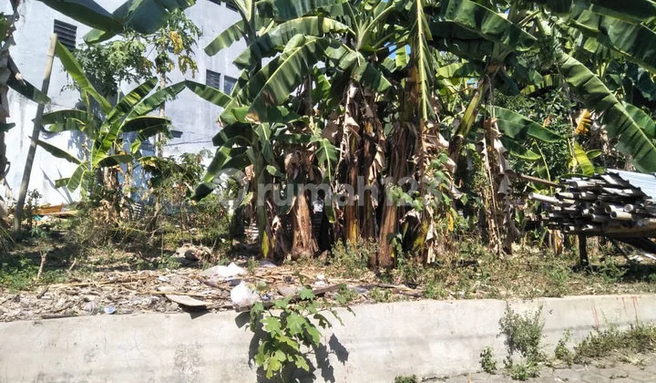 Tanah Lt 736M Murah Ring 1 Kampus Undip Tembalang Tunjungsari