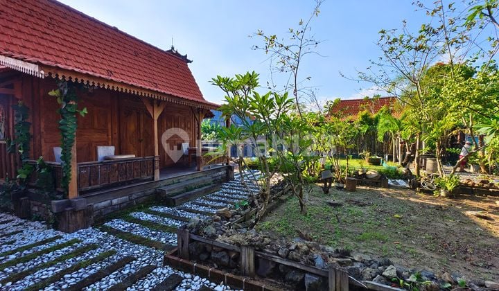3 Unit Rumah Gladag dengan Halaman Luas Berlokasi di Dalung
