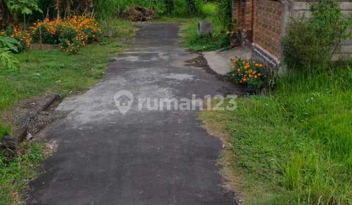 TURUN HARGA ! Tanah Kavling Murah Berlokasi di Tabanan
