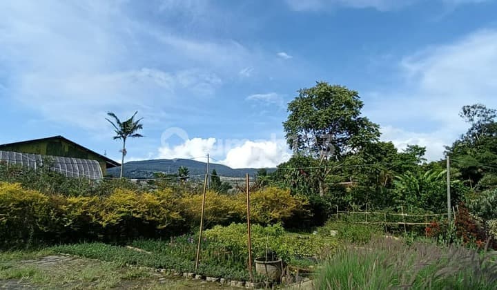 2 Kavling Dalam 1 Area di Sersan Bajuri, Cihideung