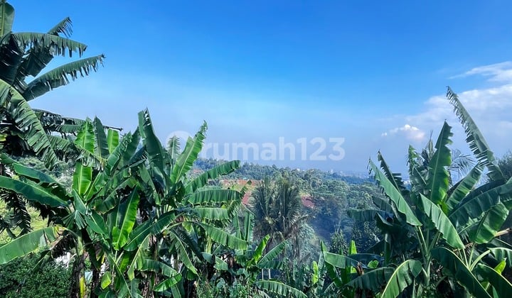 Kavling Tanah Dengan Lokasi Mainroad Di Awiligar