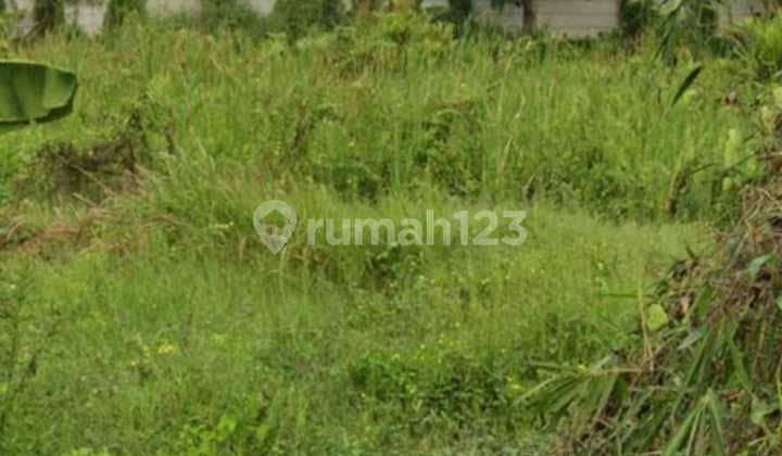 Dijual Segera Tanah Siap Pakai Bangun Pabrik atau Gudang di Pasir Bolang Balaraja Tangerang