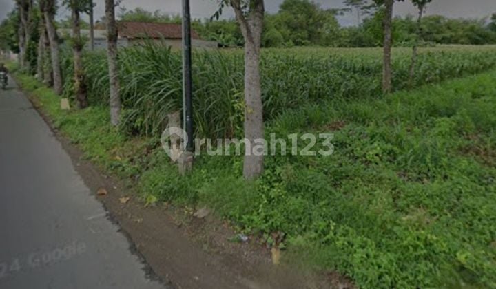 Dijual tanah murah di Kediri pare Dijual tanah murah di Kediri pare