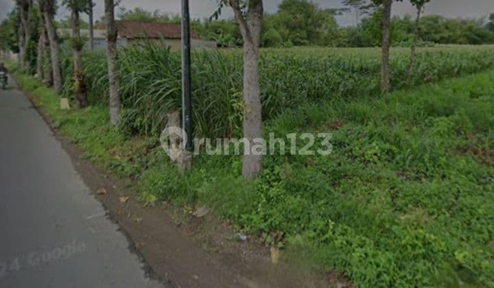 Cheap land for sale in Kediri pare.