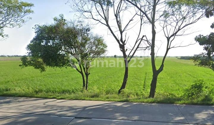 Dijua !! Lahan Seluas 4 Ha Lokasi Strategis Dikarawang