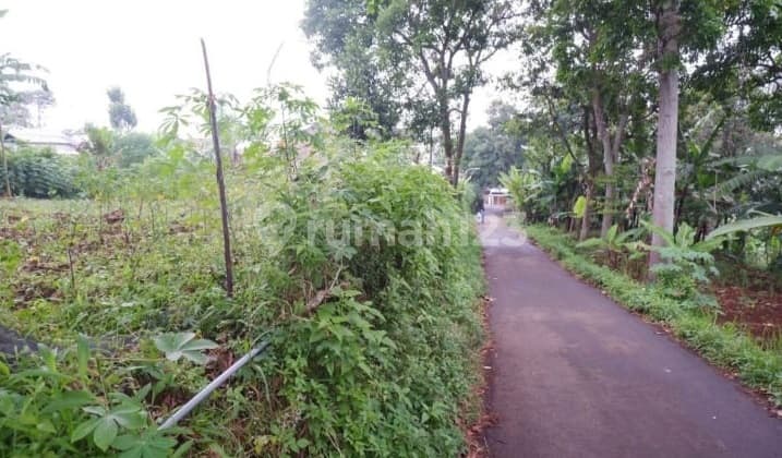 Dijual Tanah kebun 30 tumbak di pakuhaji cipageran cimahi utara