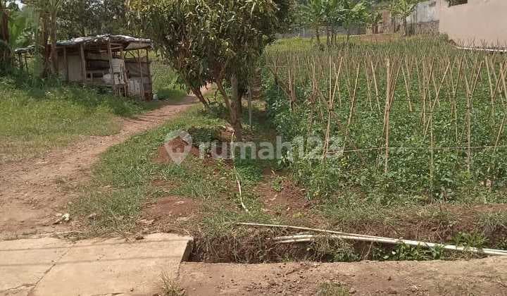 Tanah Kavling Kamarung Atas Desa Pamoyanan Padaasih Cisarua
