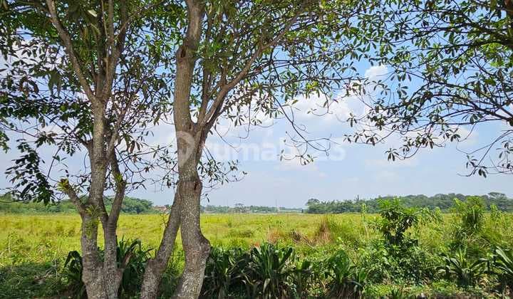 Cheap Land for Sale in Cikande Area, Serang Banten