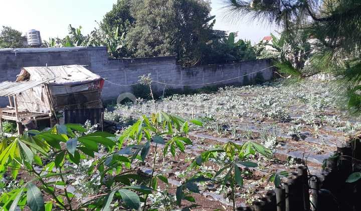 Tanah SHM di Jalan Jayagiri, Taman Junghun Lembang