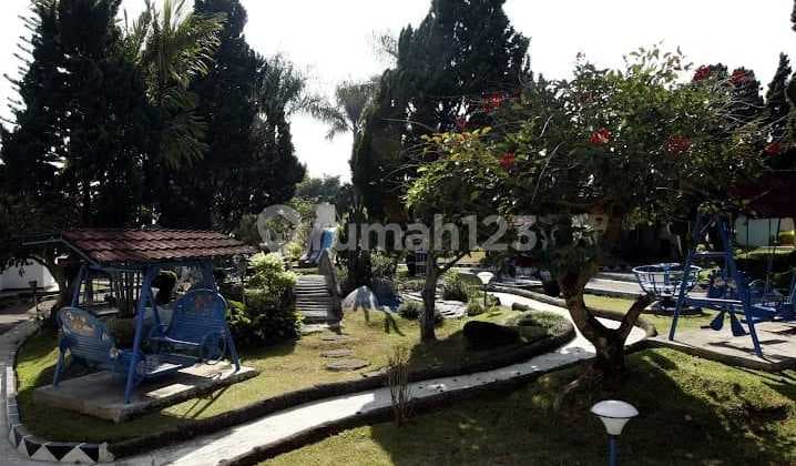 Villa Mewah Sejuk Luas Cipanas Puncak Kota Bunga Cianjur Indo Alam