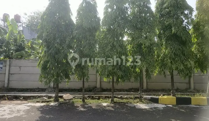 Intercon, Hadap Timur