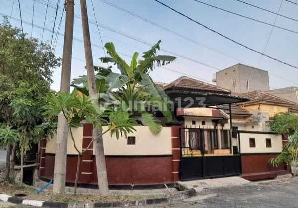Rumah Permata Safira Regency, Wiyung Strategis 1 M An