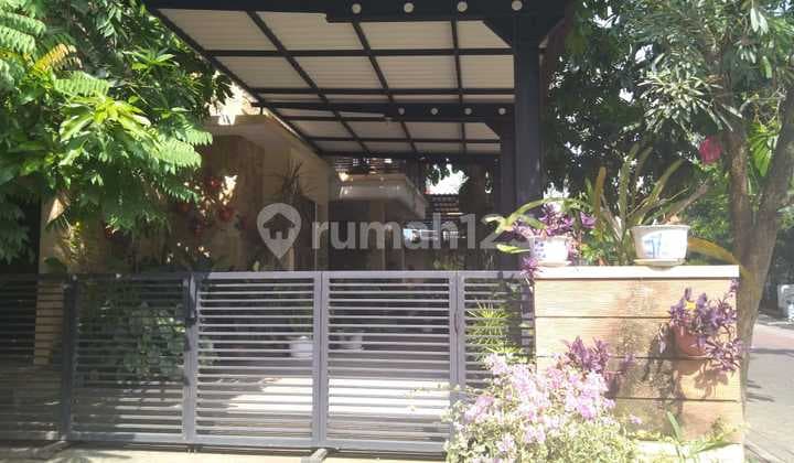 Hook Rumah Citraland International Village Kawasan Adem Asri