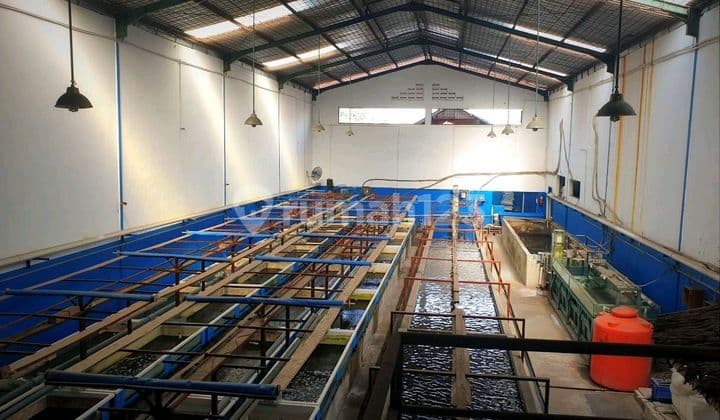 Jual Gudang Kapuk Kamal
