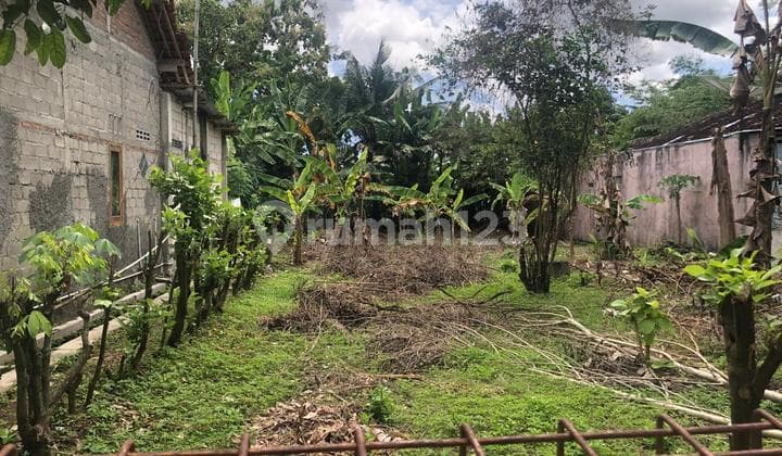 Tanah Luas Murah Harga Nego Dekat Pusat Kota Wates