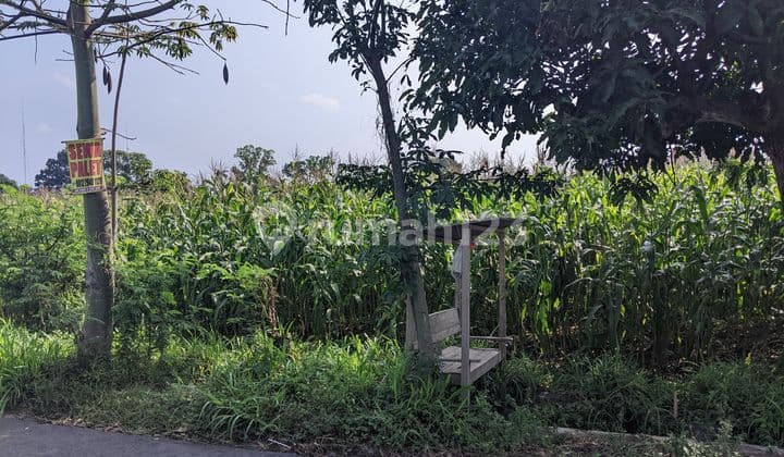 TANAH MURAH NILAI INVETASI TINGGI DI PRAMBANAN