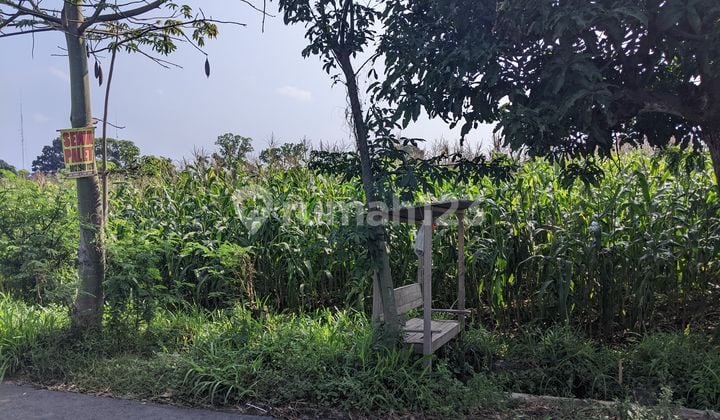 CHEAP LAND HIGH INVESTMENT VALUE IN PRAMBANAN