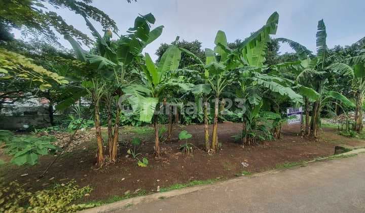 DIJUAL TANAH LUAS SHM DEKAT DEPOK TOWN SQUARE