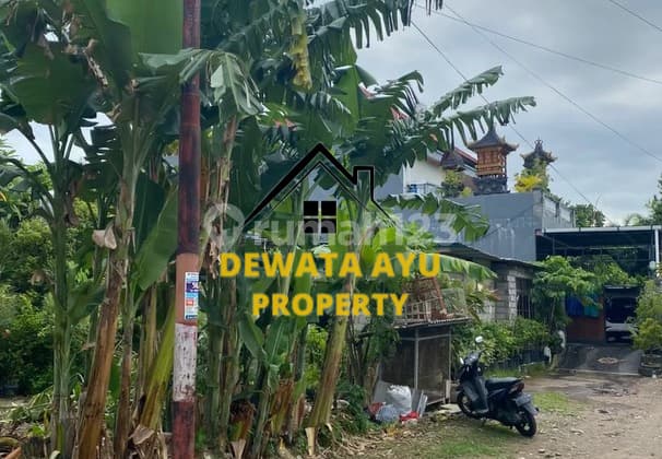 Land for Sale, 4 Ares, Facing North in Hangtuah Sanur