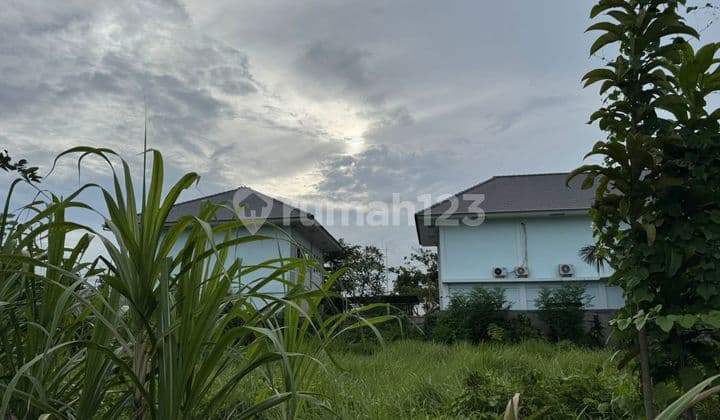 Lahan Sewa Luas 3-8 Are Aspek Perumahan Lokasi Sedap Malam