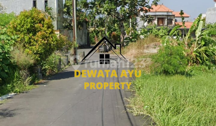 Land Position Hook Area 1 Are Rice Field View at Sedap Malam