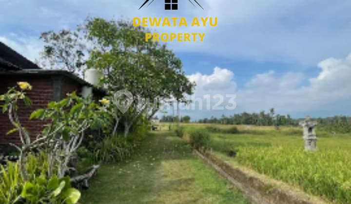 LAHAN 3000M2 ZONA KUNING VIEW SAWAH DAN HUTAN DI TABANAN PANTAI KELATING