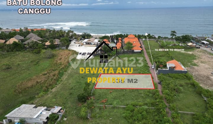 Lahan Jual Premium Luas 5,3 Are Zona Wisata di Batu Bolong Canggu