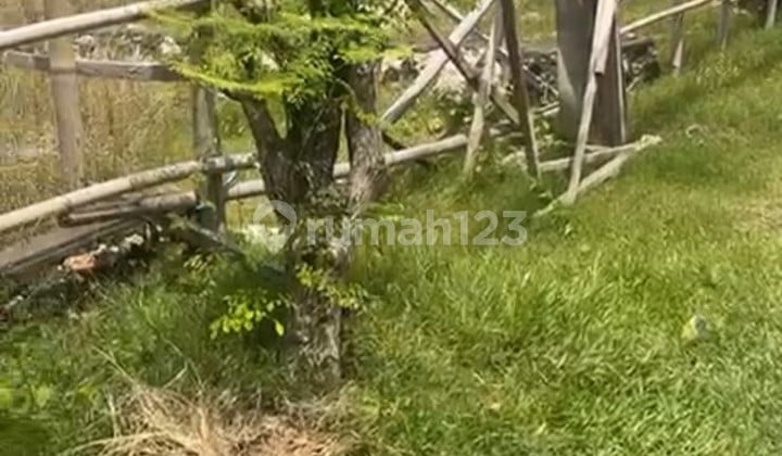Leased Land Area of 5 Ares South Facing Location at Tukad Badung