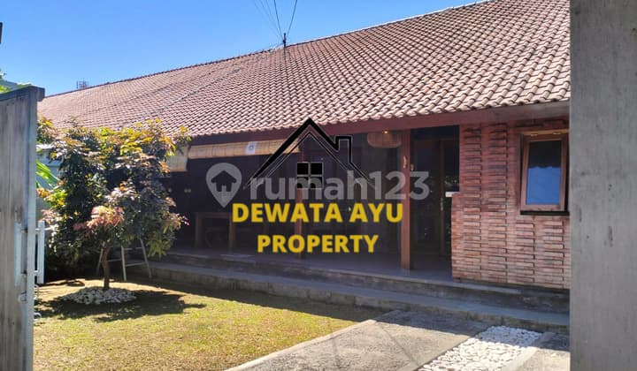 Rumah Sewa Cantik 2 Kamar Lahan 150M2 Ada Taman Lokasi Saniur