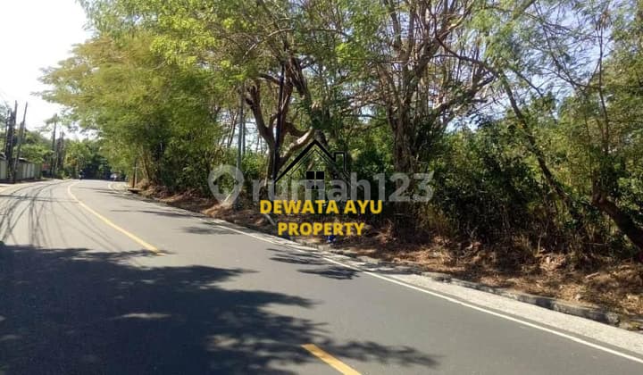 Land for Sale 4.1 Hectares East-Facing Tourism Area in Uluwatu Jimbaran 950 Million per Are
