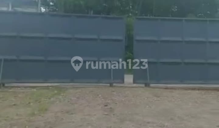 Hrg Terjun Bebas Ex Pabrik Kayu Di Ngoro Mojokerto