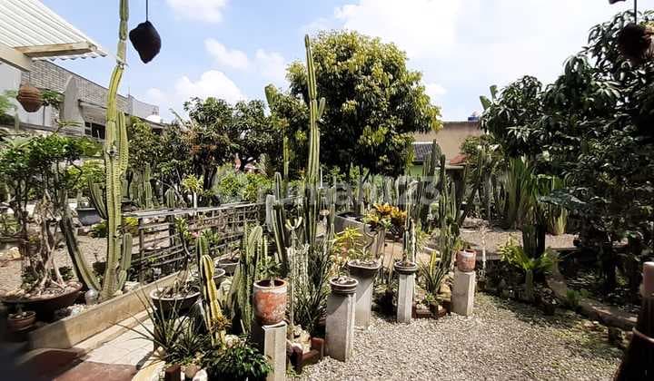 Muraah Pisan Di Antapani Strategis