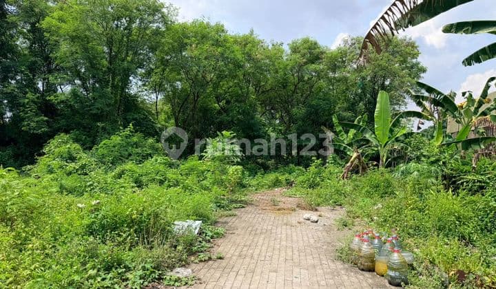 Jual Cepat Tanah di Weru. Dekat Pasar Plered