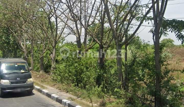 For Sale Butuh Cepat Laku Barang Murah Tanah Nol Jalan Krian