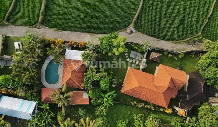LAND PRICE ONLY, VILLA WITH ETERNAL RICE FIELD VIEW IN UBUD GIANYAR BALI