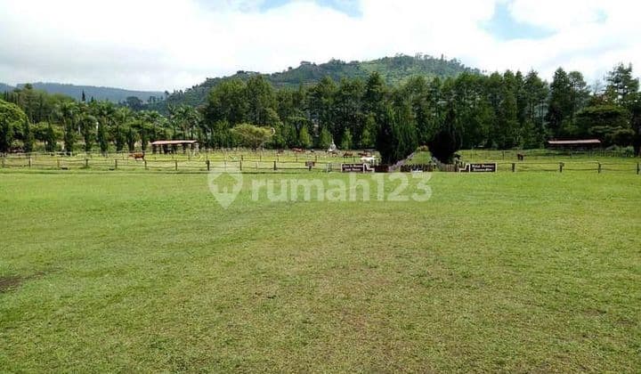 Tanah Kawasan Wisata Lembang 550000m² Cocok Untuk Wisata