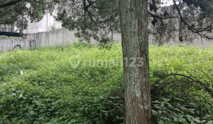 Tanah Kavling Setraduta Cemara 360.0 M² SHM