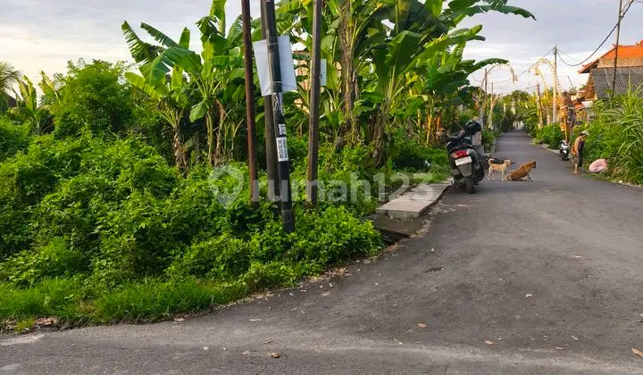 Tanah Kawasan Balangan Beach Jimbaran Badung Bali