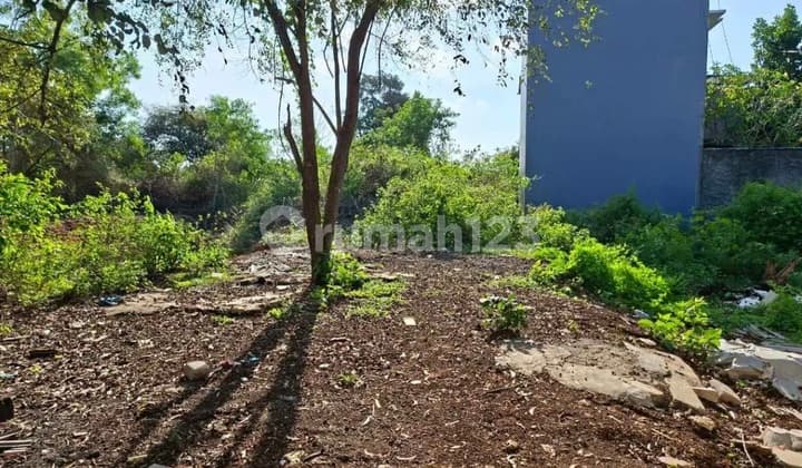 Land for Sale 165 m² IDR Global 1.3 Billion at Unud Campus Jimbaran