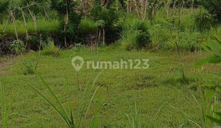 Dijual Tanah 5 Are Second Floor Ocean View Idr 700 Juta Per Are Kawasan Melasti Beach Ungasan Badung Bali