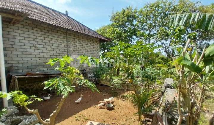 Dijual Tanah 100m² Kawasan Pandawa Beach Kutuh Badung Bali