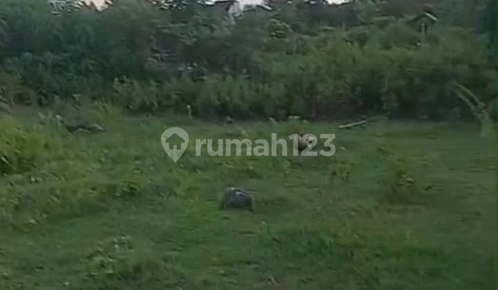 Dijual Tanah 10 Are Idr 400 Juta Per Are Dekat Stp Nusa Dua Badung Bali