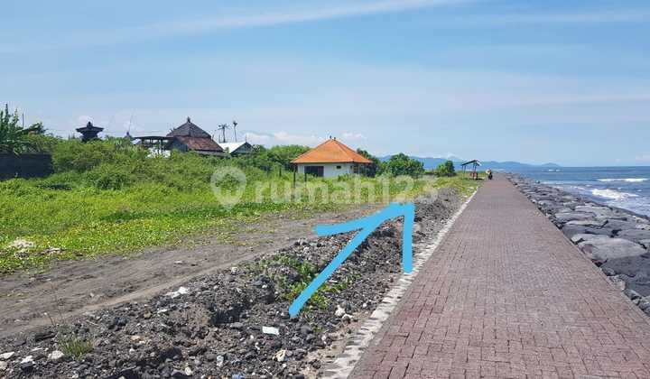 Dijual Tanah 1975 M² Idr 650 Juta Per Are Los Pantai Pabean Ketewel Gianyar Bali