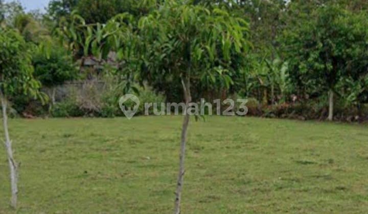 Dijual Tanah Plot Kecil Kawasan Dreamland Pecatu Idr 800 Juta /are